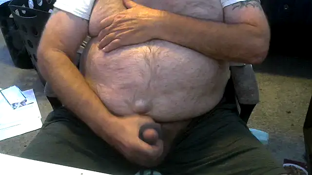 viejo_oso live