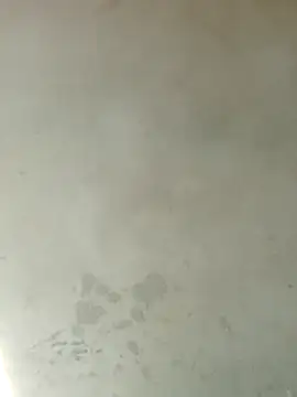lee_chang- live