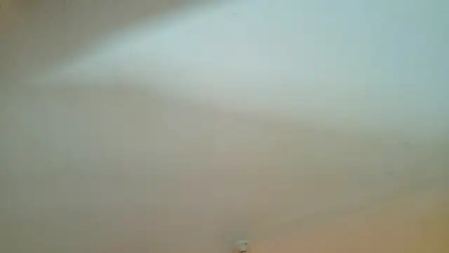 leoneriss live