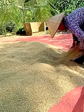 Bong_sexy live