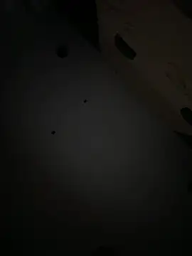 GenesisBlaze live