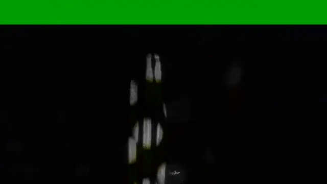 MrBigDiQ1 live