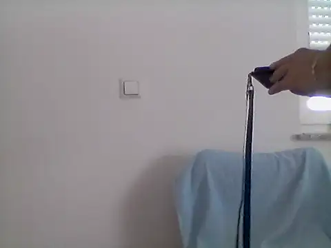 DalmatianCroatia live