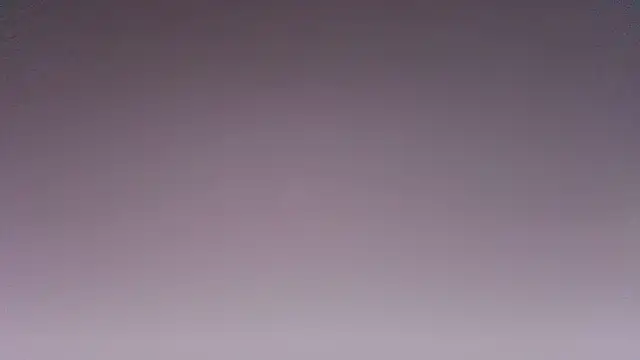 SophieFinely live