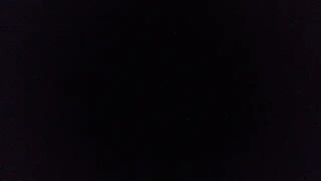 pinkycat live