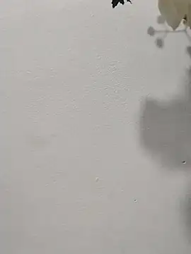 Mile2022 live