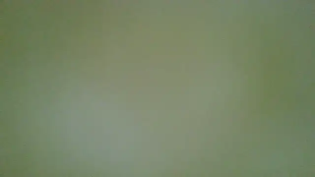 Velissedy live