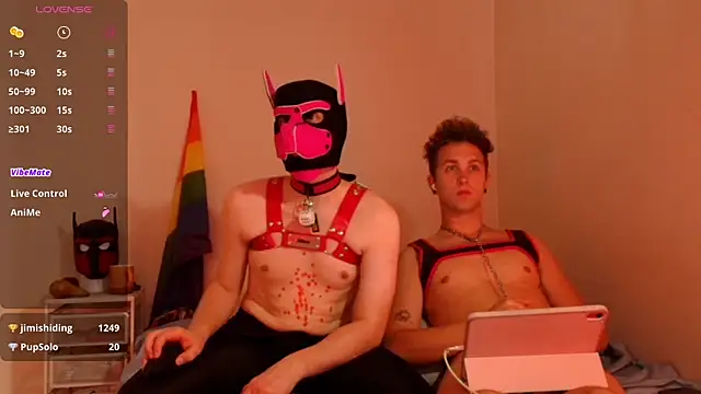 K9_GoodBoy live