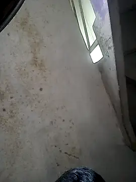 Ariihot live