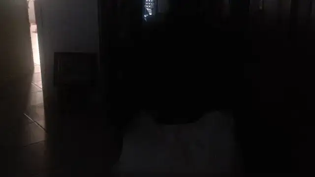 joeydee1 profile