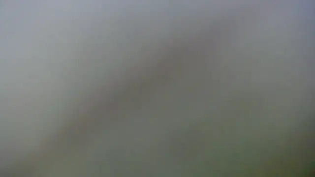 Hot_athletes_ live