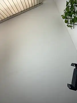 NelModel1 live