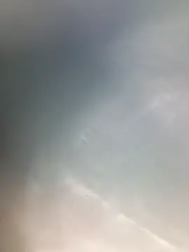 royyul live
