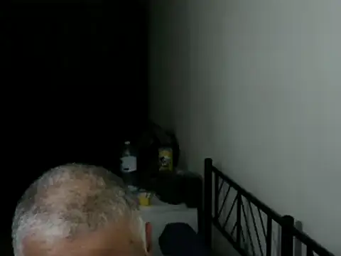 100Tauros live
