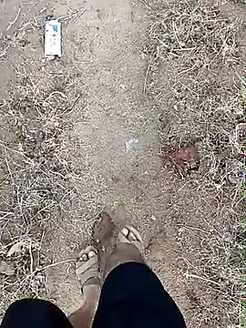 Forest_lover24 live