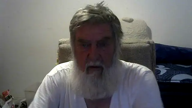 viejo_oso live
