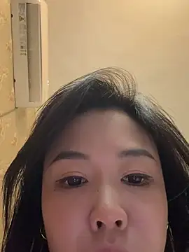 SSTT-0T live