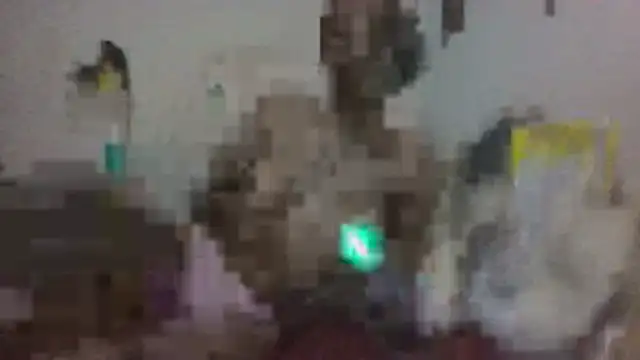 paradisejas live