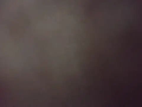 Lily-ly live