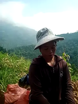 phuongtrinh1 live