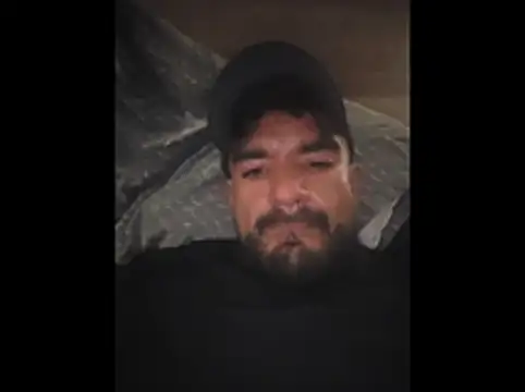 piggylatino live
