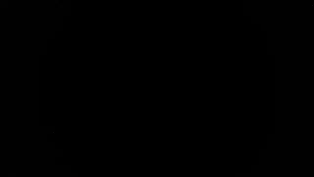 palidin1 profile