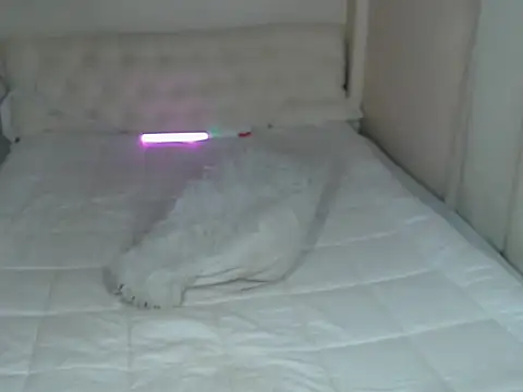 urnaughty_paul live