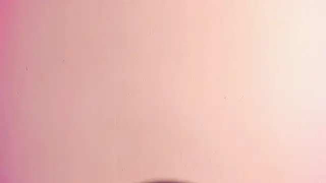 Siena_fox live