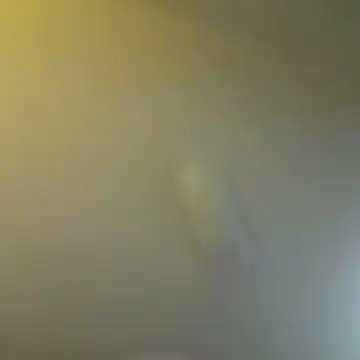 _SpicyStuff_@xh live