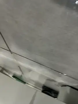 Turkishleo live