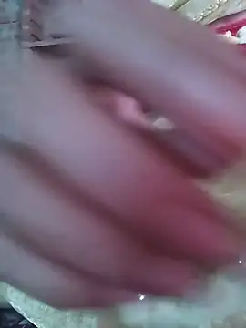 mishraroy live